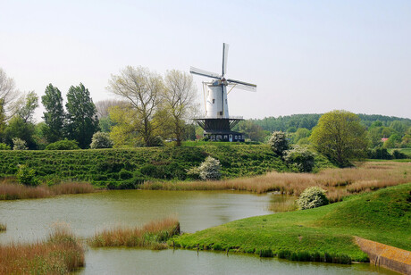 Molen in Veere bewerkt