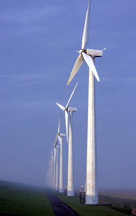 Windpark Westermeerdijk