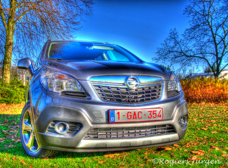 hdr mokka 1 ©.jpg