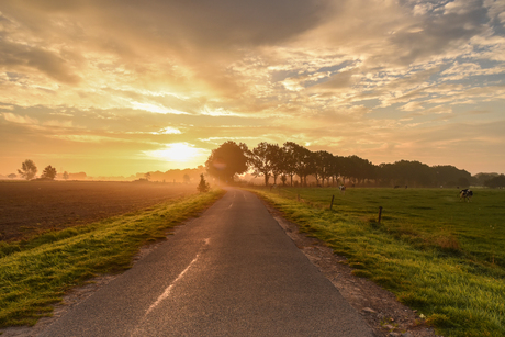 Een mooi begin van de dag