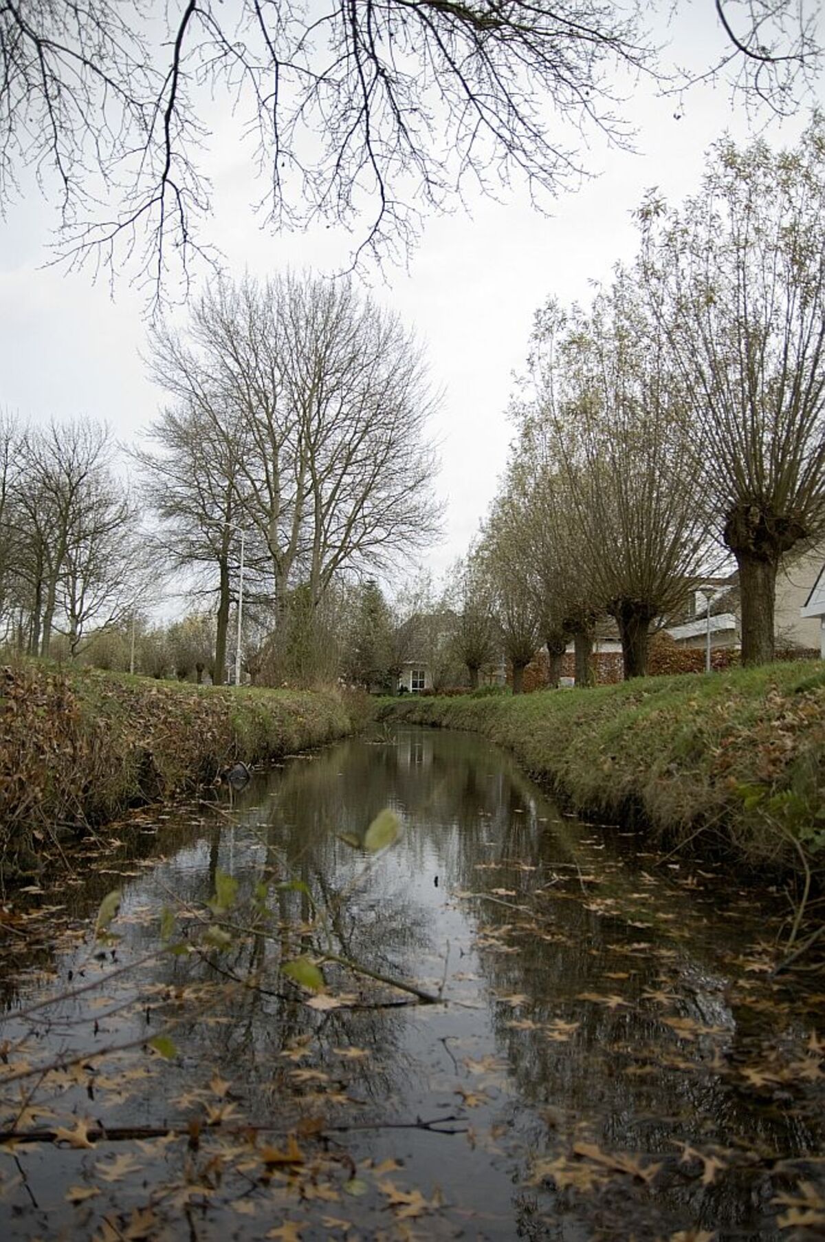 de loop - foto van jurgenr - Natuur - Zoom.nl