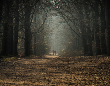 De lente tegemoet...