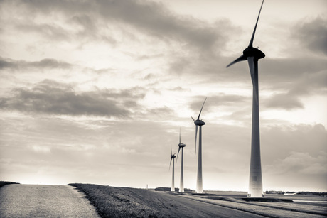 windmolens bij de dijk