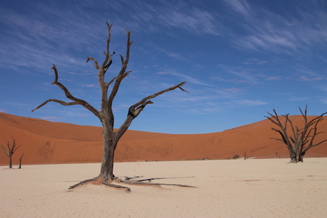 Deadvlei