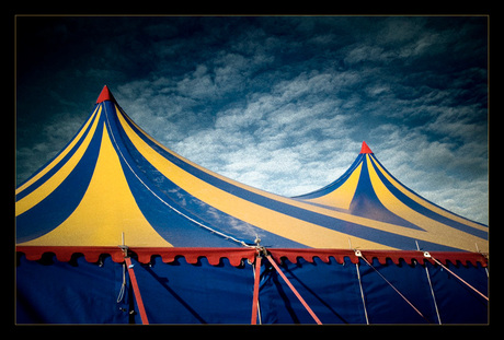 Het circus