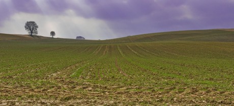 Landschap Sittard