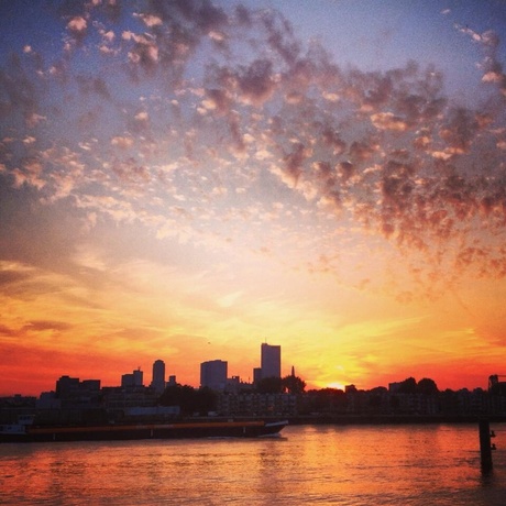 Rotterdam city sunset