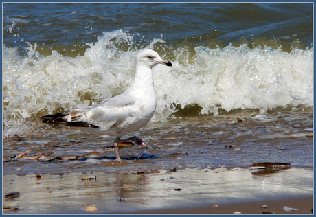 Strandwandeling