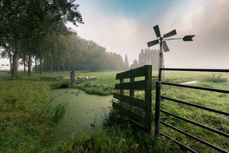 Herfstochtend in September 2