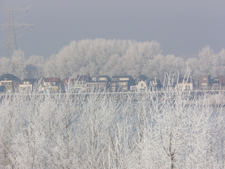 winter sliedrecht boven de bomen