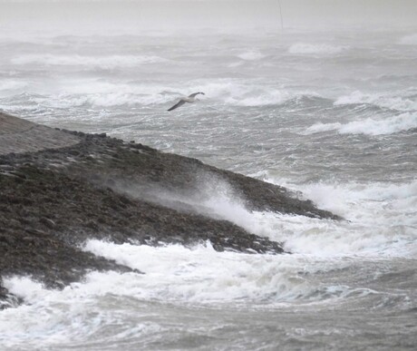 storm zeeuwse kust