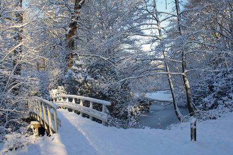 Winter wonder bridge