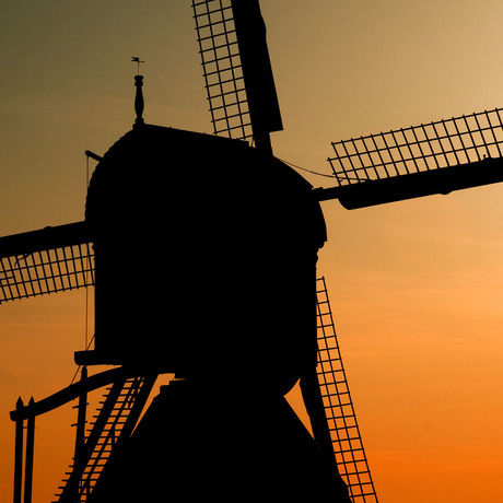 Kinderdijk bij avondlicht