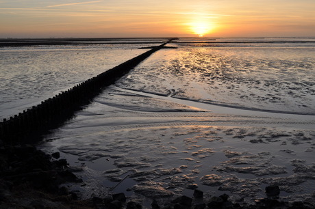 waddenzee