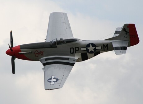 P51 Susy