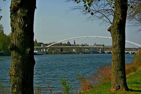 Maas In Maastricht