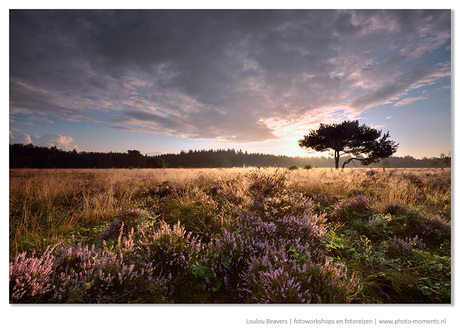 Veluwe