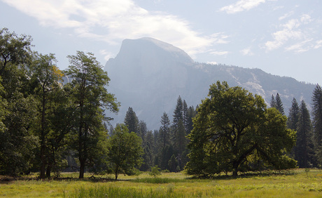 Yosemite Halfdome.jpg