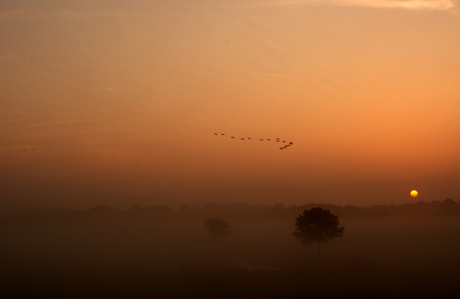 Zonsopkomst