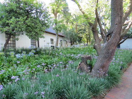 Tuin in Zuid Afrika