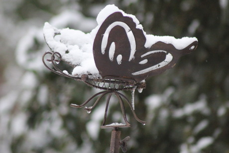 Vlinder in de sneeuw