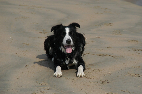 Glenn aan zee