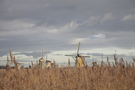 Kinderdijk