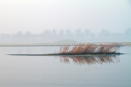 Veertje op het water?