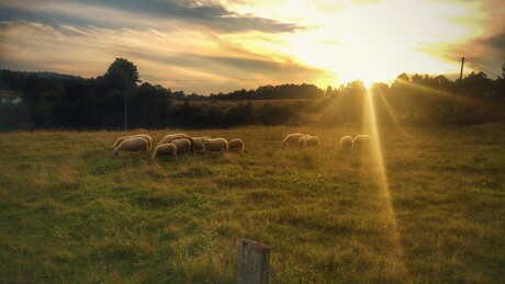 Natuur in Bosnie