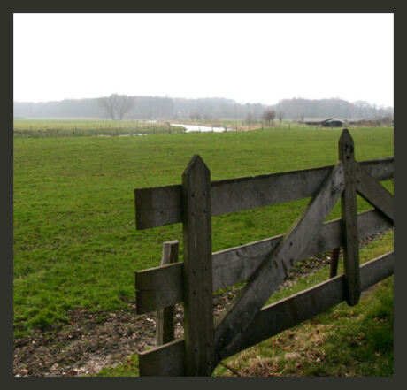 Landschap Berkel