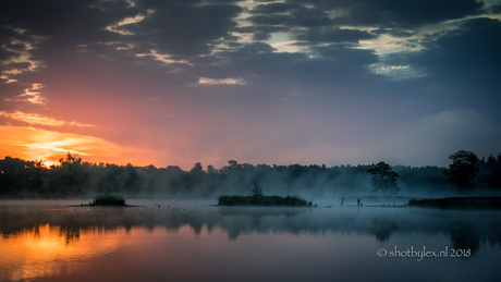 Foggy sunrise