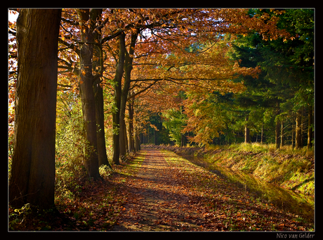 Herfst in De Horte