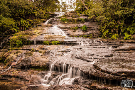 Blue Mountains