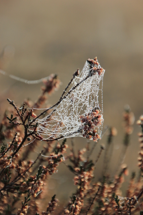Herfst in aantocht