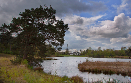 molen.