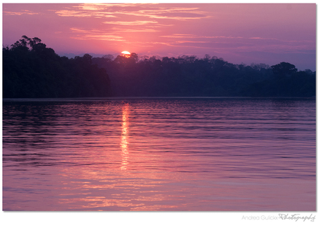 Amazone Sunset