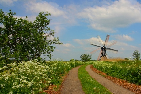 Broekmolen HDR