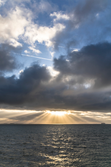 Westerschelde