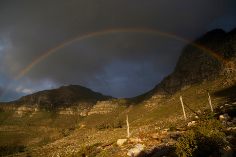 Rainbow at the table