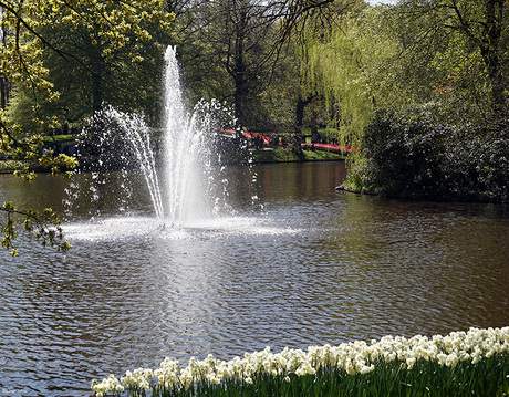 Keukenhof