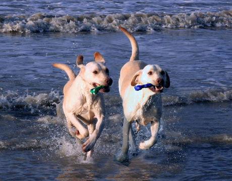 Samen aan zee