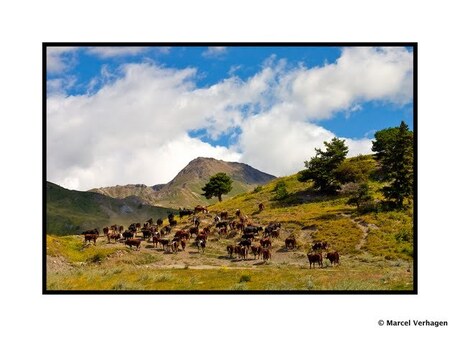 Val d'Aosta