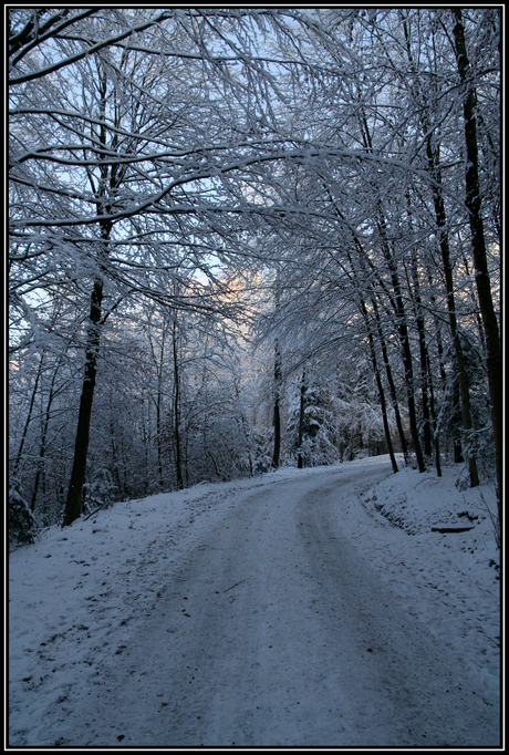 wandeling Uetliberg