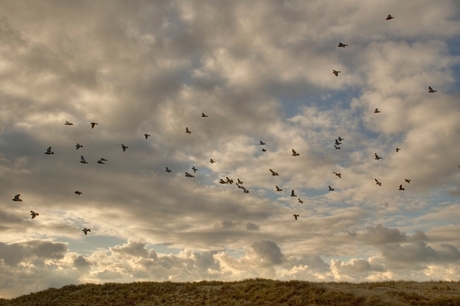 Fly away HDR