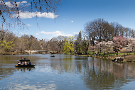 NYC Central Park