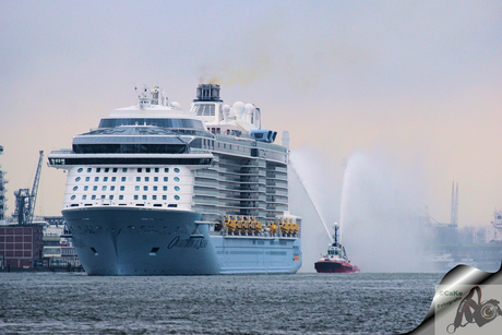 welkom Ovation of the seas