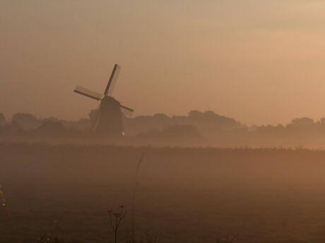 molen in mist