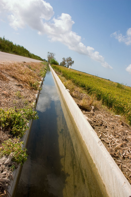 waterkanaal in ebro delta