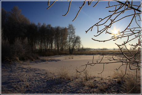 Bargerveen in de Winter