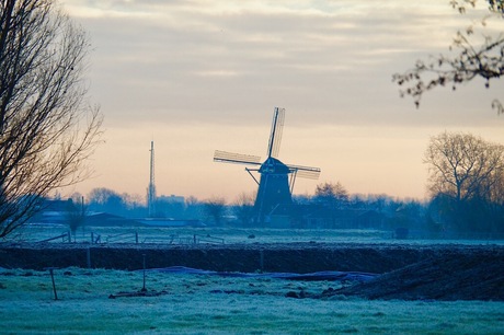 Typisch Hollands winterplaatje in de mist